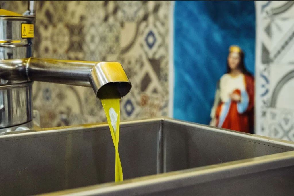 vendita olio extravergine di oliva