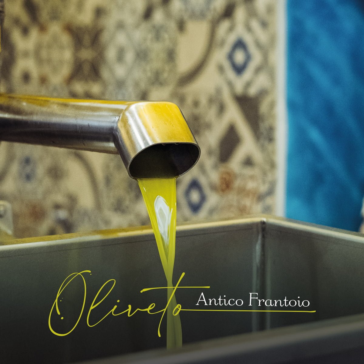 Frantoio BioAntei di Oliveto in Sabina